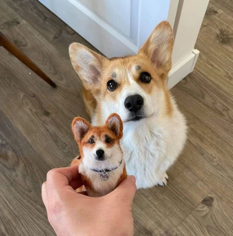 07-11-32-16588243541735154130