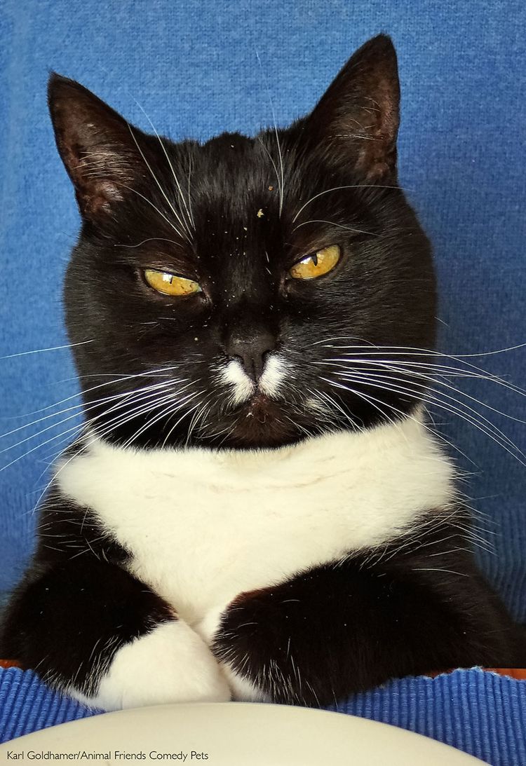 07-11-33-1658737995196984609