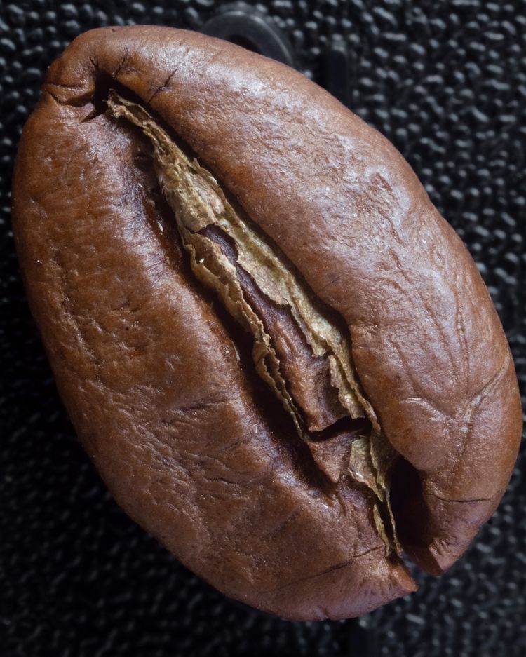 07-11-34-16570964621158190413