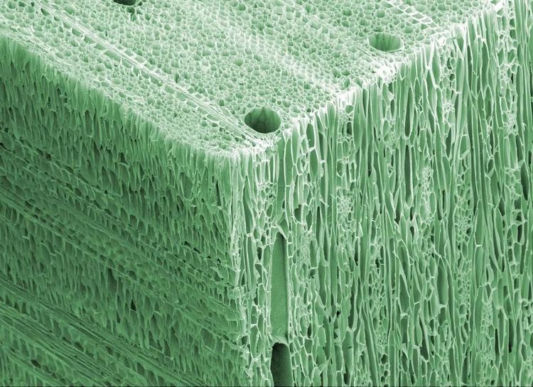 07-11-34-1657096465210147627