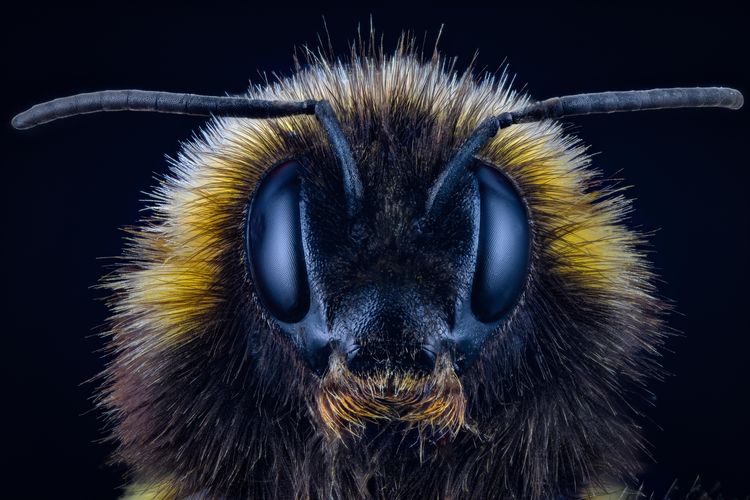 07-11-34-165709646861671651