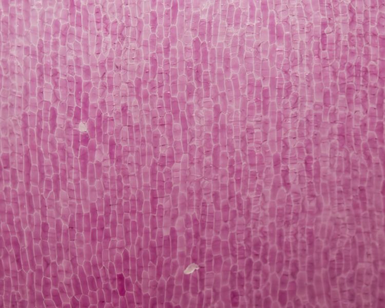 07-11-34-16570964751302679027