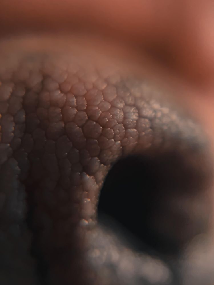 07-11-34-165709647852782956