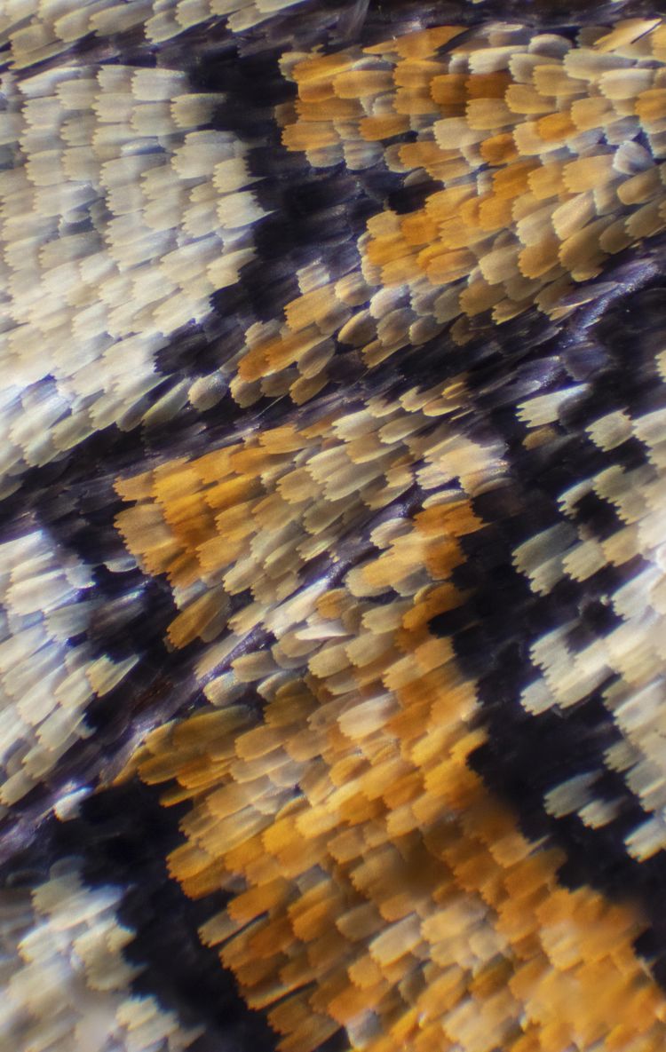 07-11-34-1657096481892892336