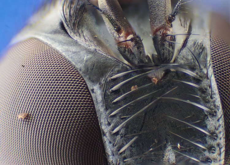 07-11-34-1657096492507587399