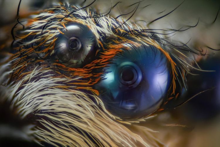 07-11-35-16570965001804752945