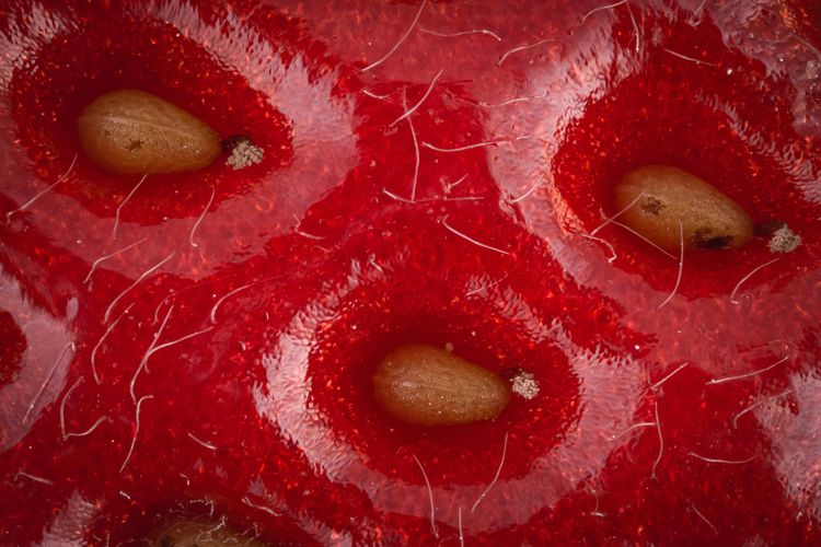 07-11-35-16570965061260116156