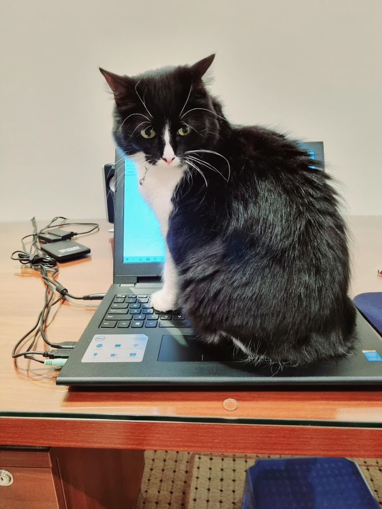 07-11-37-16583062571364011834