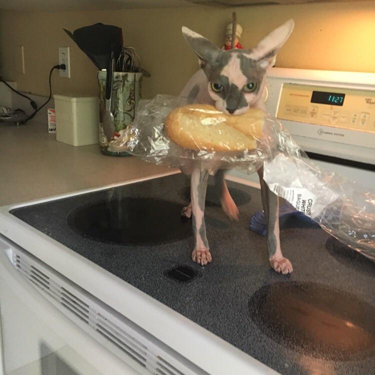 07-11-37-16583062611270793950