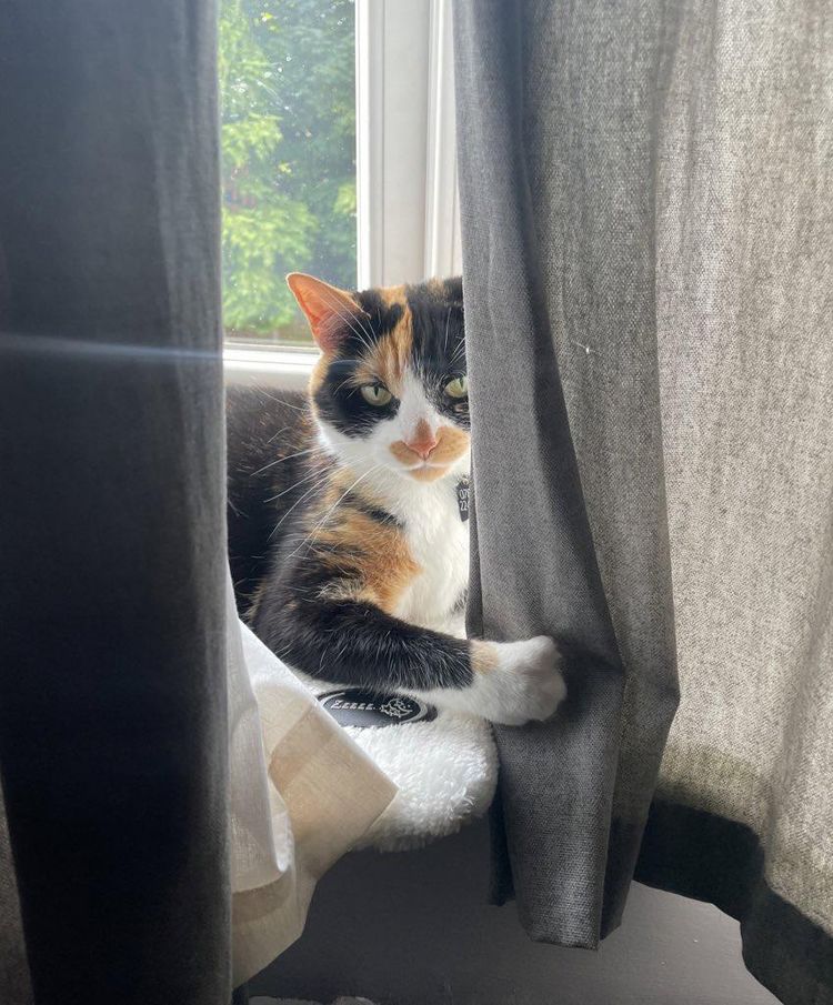 07-11-37-165830626559487999