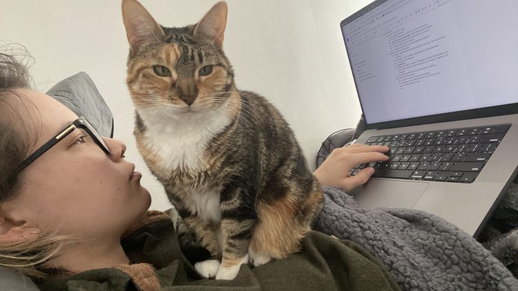 07-11-37-16583062681887719583