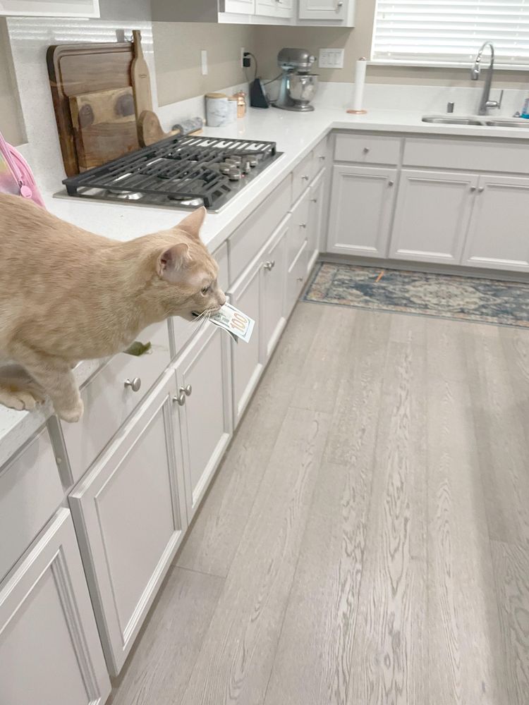 07-11-37-1658306272602332359