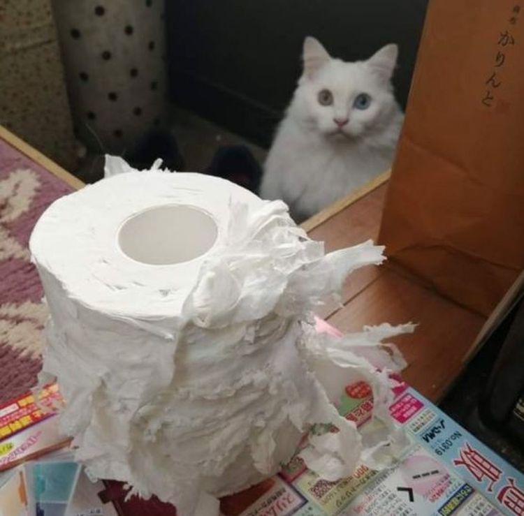 07-11-38-16583062871926315422