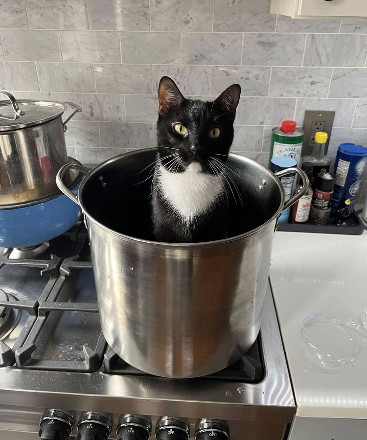 07-11-38-16583062901169821319