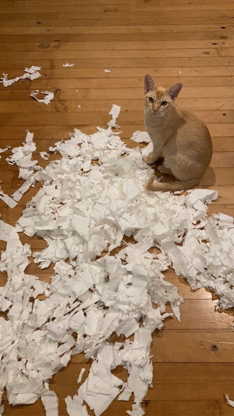 07-11-38-16583062991355141555