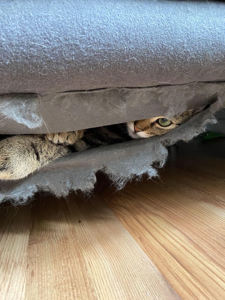 07-11-38-16583063042045700643