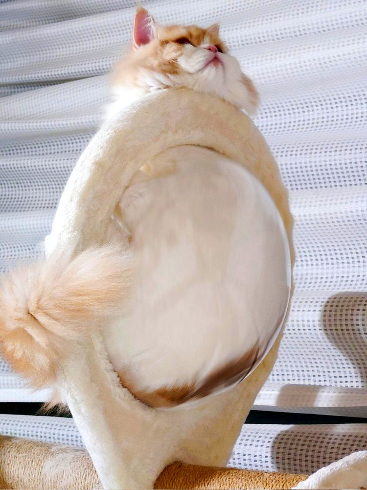 07-12-15-1658481315321759784