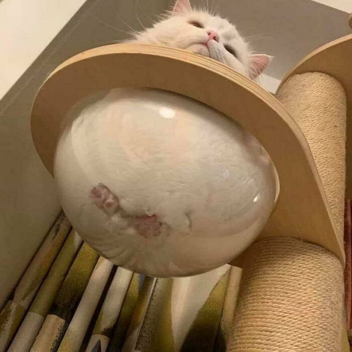 07-12-37-1657791451456853727