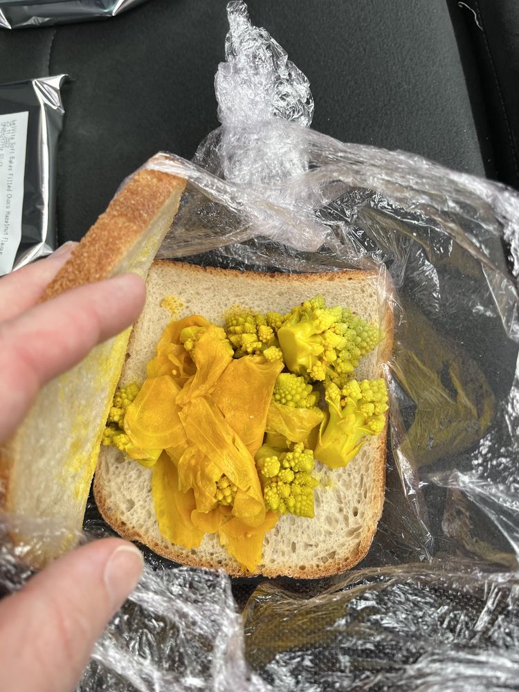 07-13-13-1659003194949439626