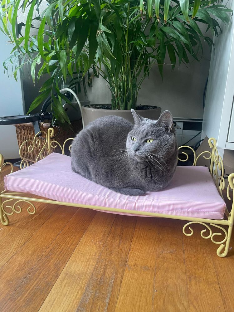 07-13-27-16584856311511650969