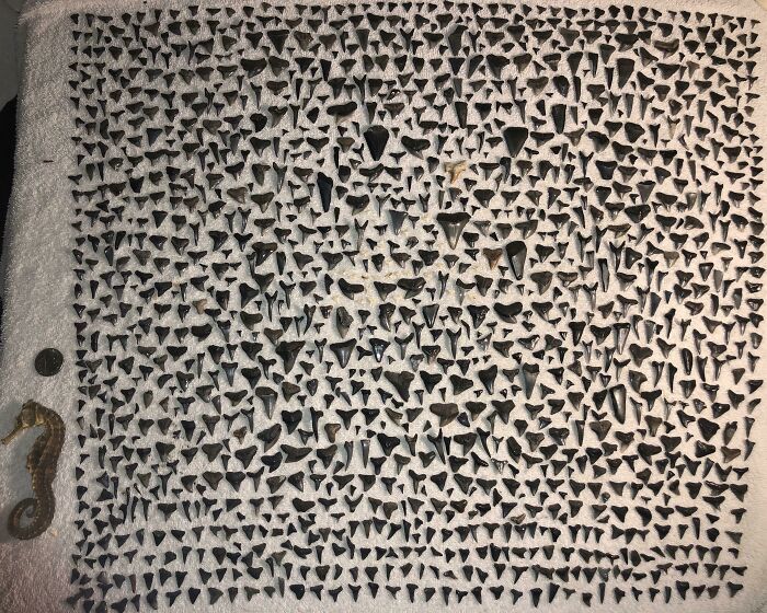 07-13-31-16572762611594515193