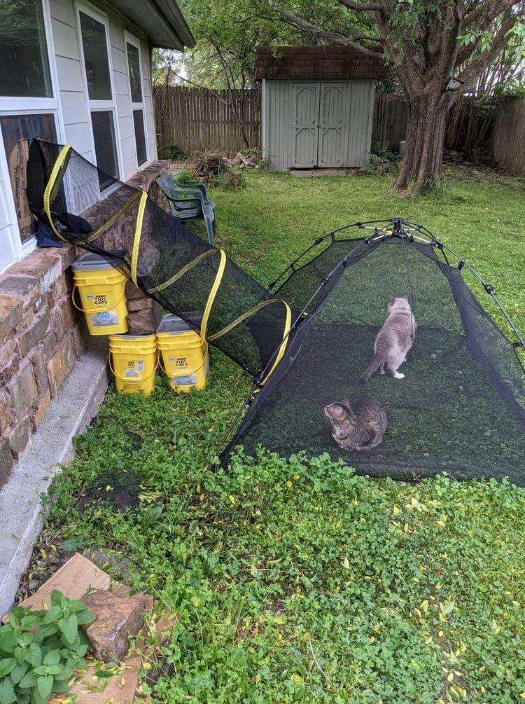 07-13-31-165814027017939177