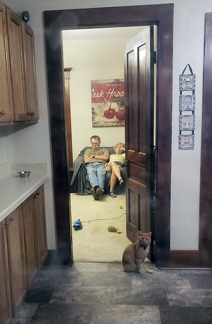 07-13-32-16589179771735085640