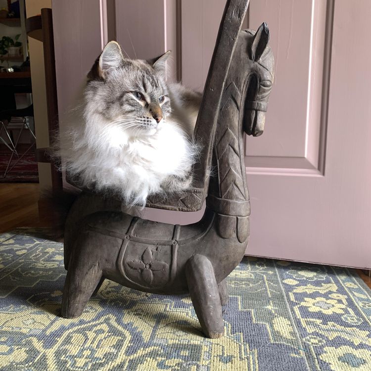 07-13-43-16569313991606291480