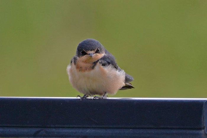 07-14-10-16589202431667195919