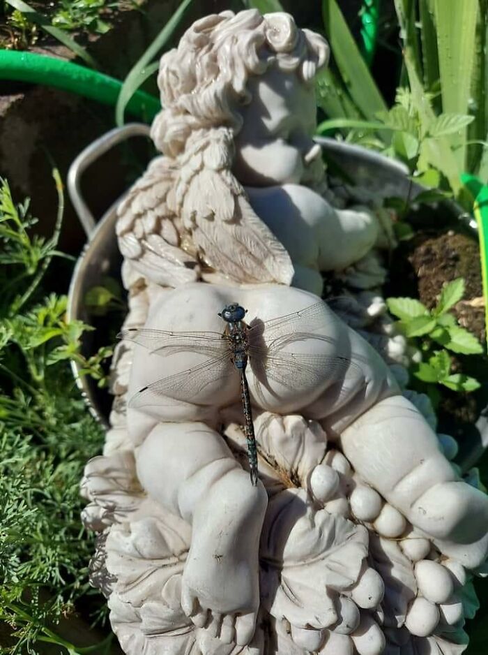 07-14-10-16589202471925158092