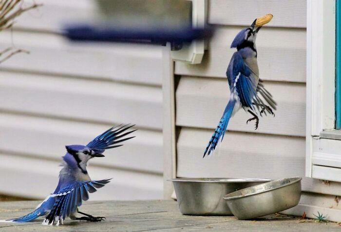 07-14-10-16589202591529098366