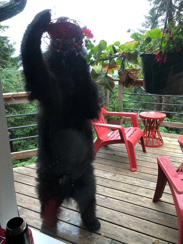 07-14-11-16589202671074632742