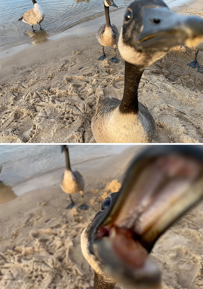 07-14-11-1658920279716033417