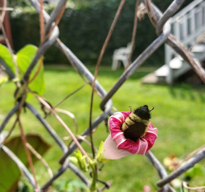 07-14-12-16589203322142194103