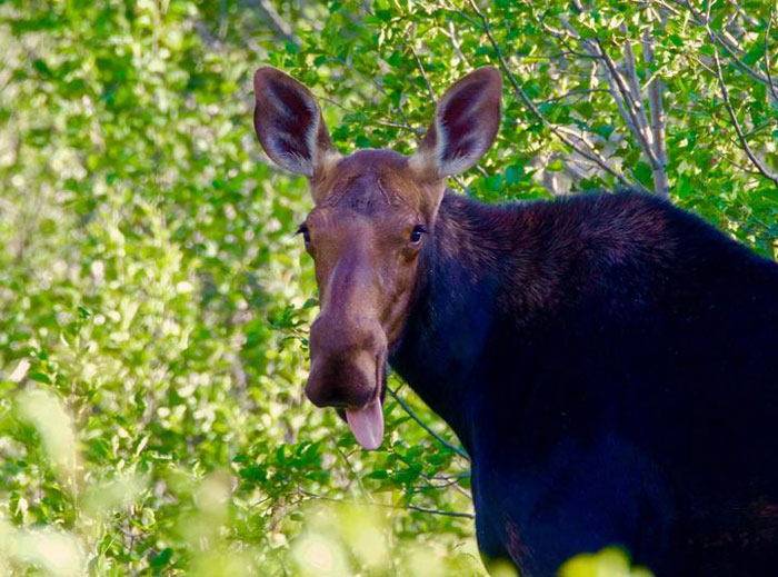 07-14-12-1658920370247078046