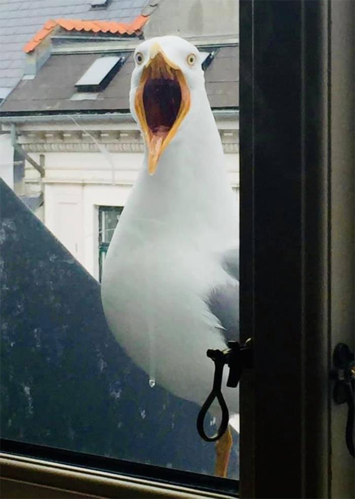 07-14-12-165892037454785232