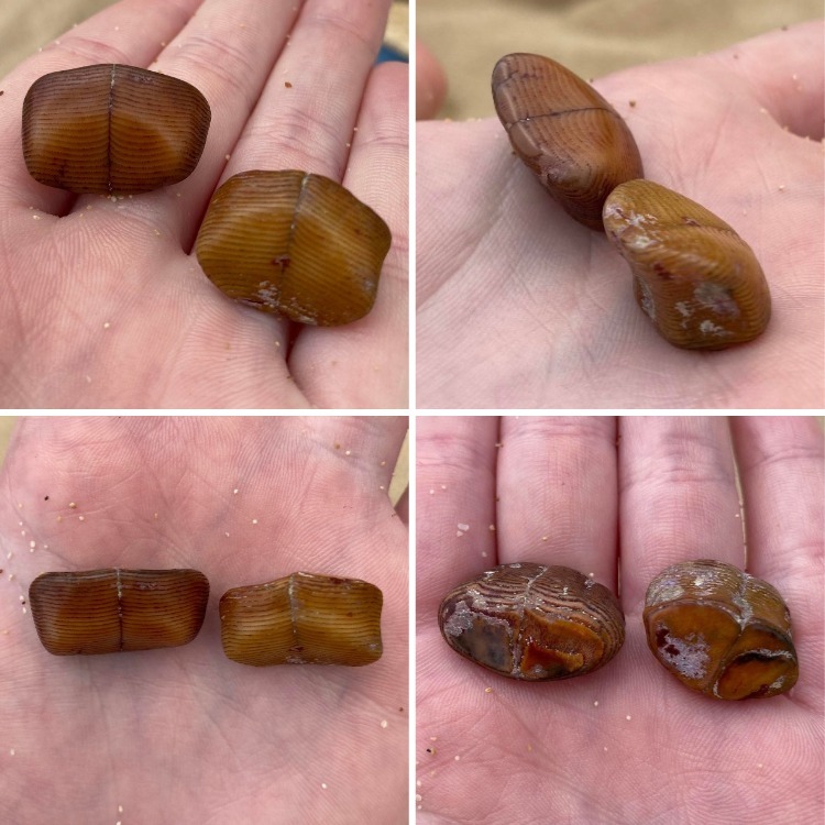 07-14-19-16584887641388097544