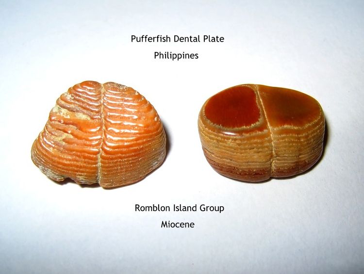 07-14-19-16584887733641371