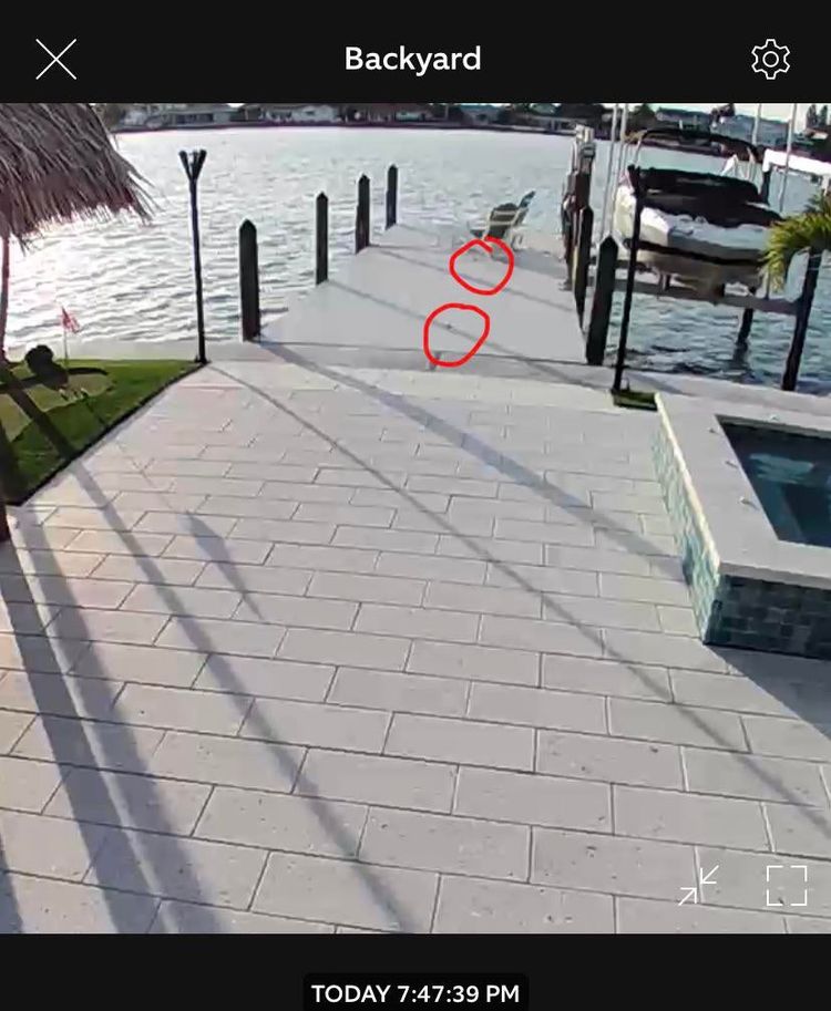 07-14-21-1658488885650030500