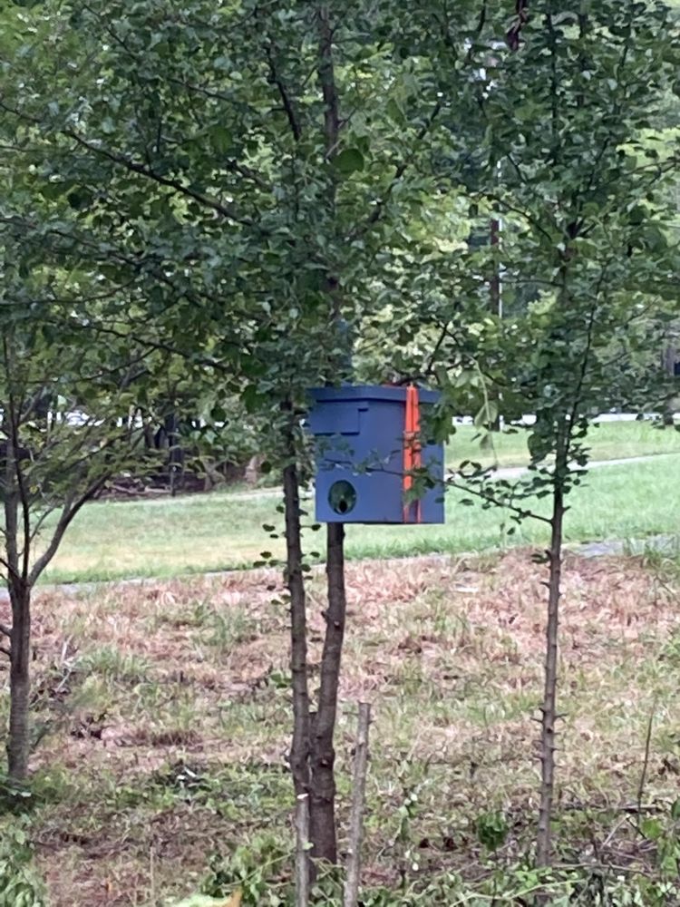 07-14-22-1658488965389020662