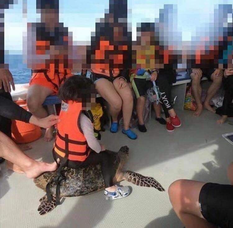 07-15-21-1657196487421602102