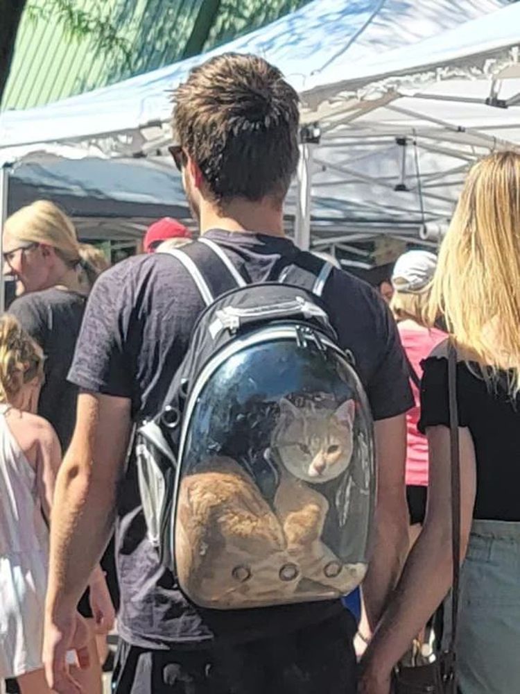 07-15-21-1657196492292813927