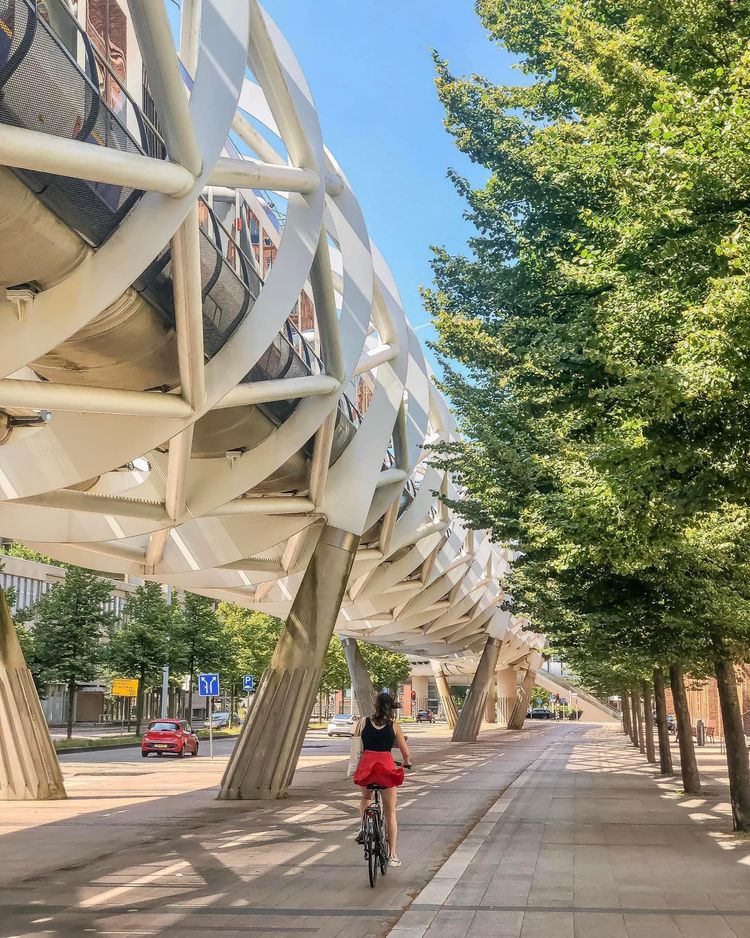 07-15-37-1658407048689469517