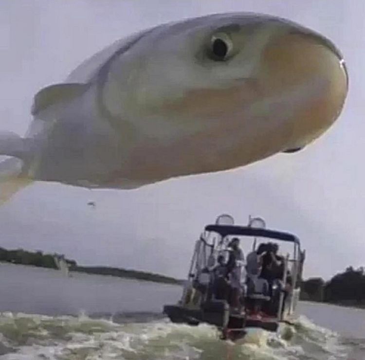 07-15-48-1657025327543113363