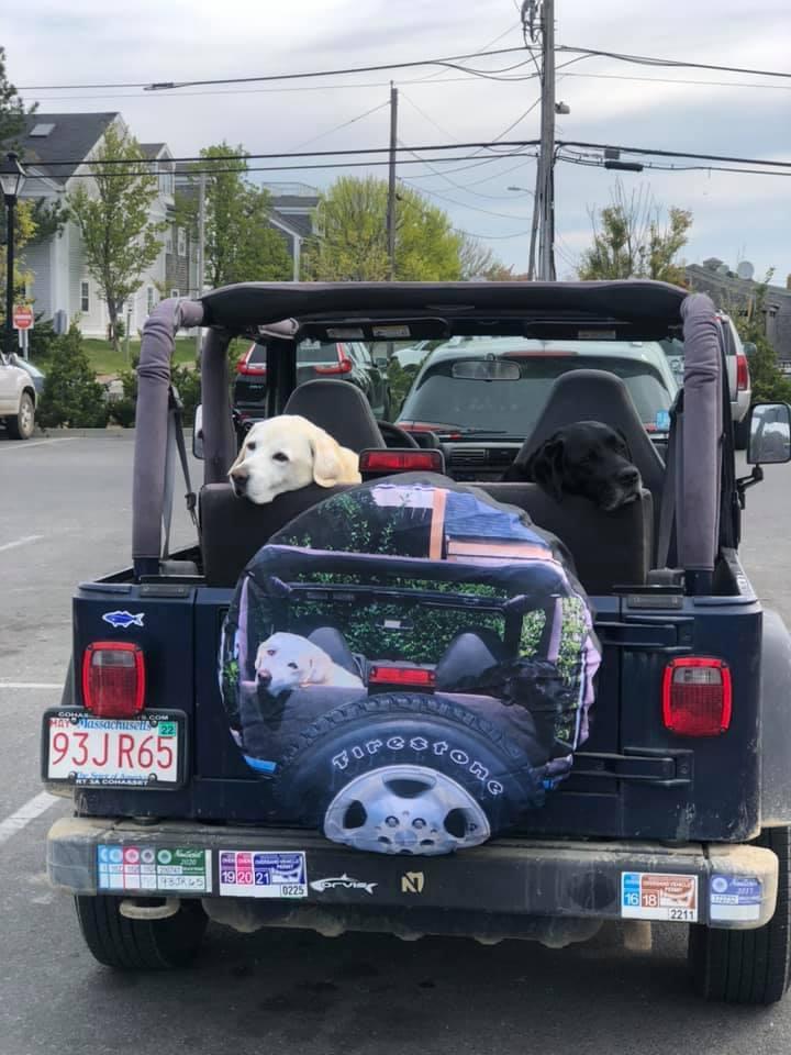 07-15-49-16570253462095156974