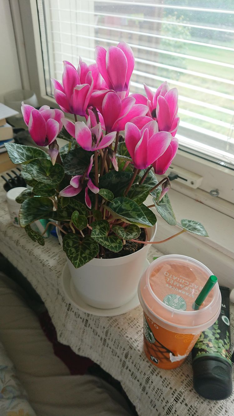 07-16-01-1657112499132273388