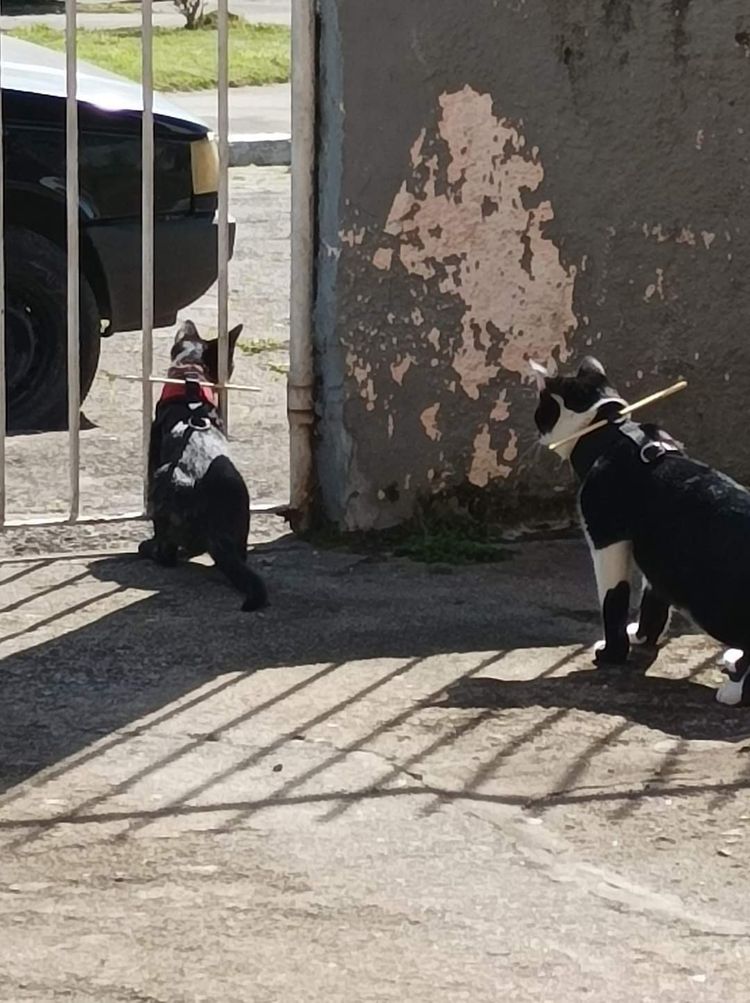 07-16-22-16588417641021931322