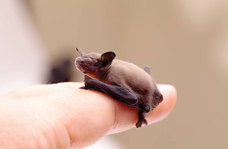 07-16-37-16588426201287081827