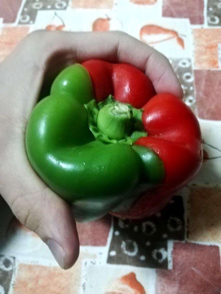 07-16-40-16581516211794429983