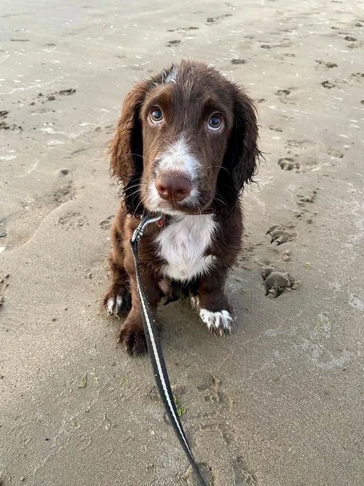 07-18-03-1657810999240921000